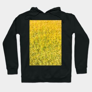 Texture - Golden Grass Hoodie